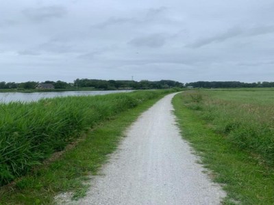 Chalet Chalet in der Natur, Friesland - Environment photo 31