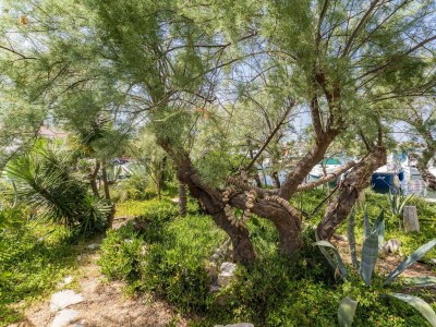 Apartment Apartments Kukljica - two bedroom apartment - Environment photo 19