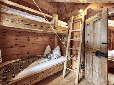 Alpine hut Felsenhuette - Features photo 16