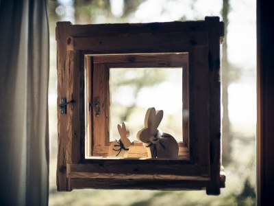 Alpine hut Felsenhuette - Features photo 21