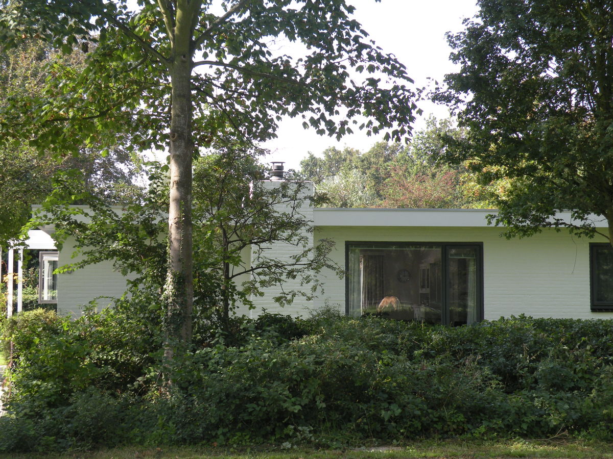 Holiday house Zilt - Outdoor photo 4