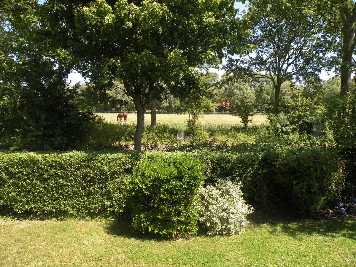 Holiday house Zilt - Outdoor photo 5