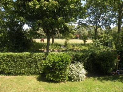 Holiday house Zilt - Outdoor photo 5