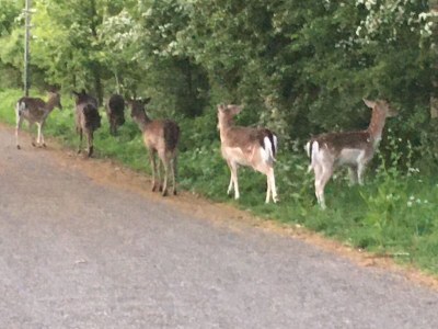Holiday house Zilt - Outdoor photo 8