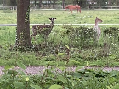 Holiday house Zilt - Outdoor photo 13