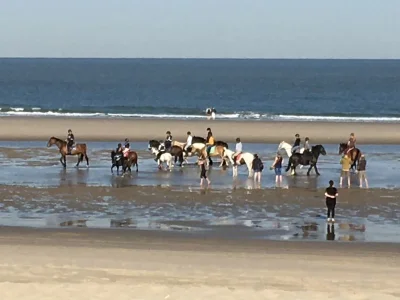 Holiday house Zilt - Outdoor photo 14