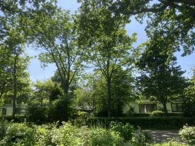 Holiday house Zilt - Outdoor photo 18