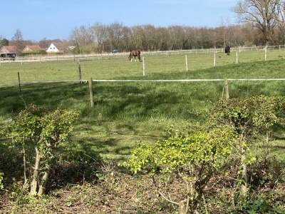 Holiday house Zilt - Environment photo 38