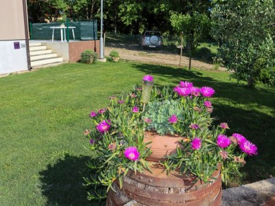 Villa Palera II - Features photo 26