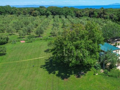 Villa Palera I - Environment photo 92