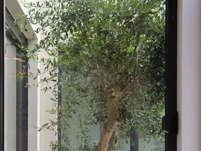 Villa No title - Outdoor photo 4