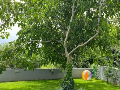 Villa No title - Outdoor photo 7