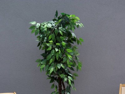 Villa No title - Features photo 16