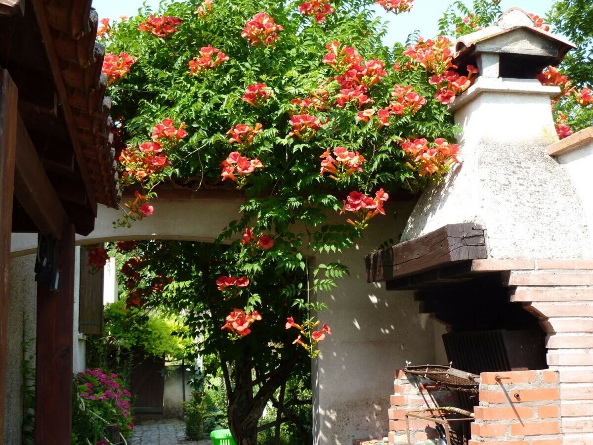 Holiday house Au bord du Tarn - Outdoor photo 3