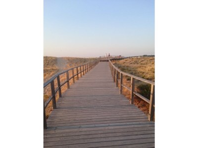 Apartment Bela Baia - Environment photo 18