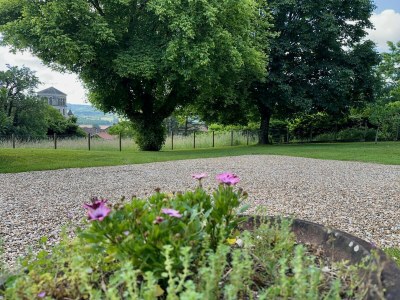 Villa La Terrasse - Environment photo 27