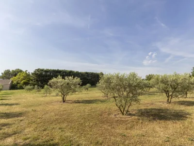 Holiday house Le Petit Nid - Environment photo 33