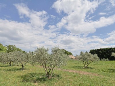 Holiday house Le Petit Nid - Environment photo 35