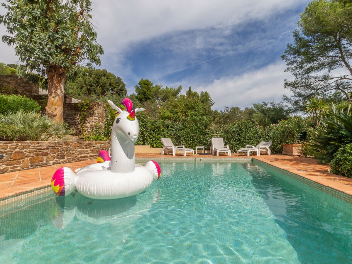 Villa Les Eucalyptus (6p) with pool at French Riviera - Outdoor photo 5