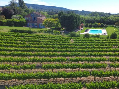 Apartment Les Vignes - Lavande (4p) with pool - Environment photo 24