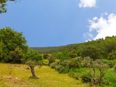 Villa Louvadiou - Environment photo 34