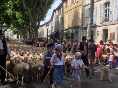Villa Maison Beally (8p) with pool in French Provence - Outdoor photo 39