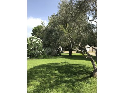 Villa Maison Belleviste - private swimming pool within w - Environment photo 34