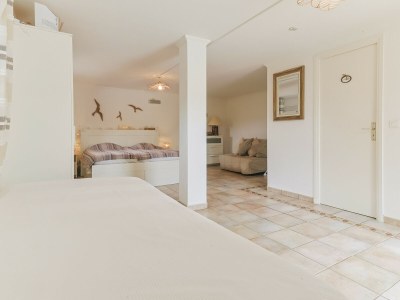 Villa Maison de Laurence (6p) with pool in the Provence - Features photo 34