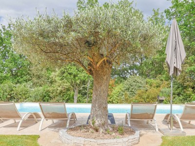 Villa Mas des Ecureuils (8p) with pool in Provence - Outdoor photo 8