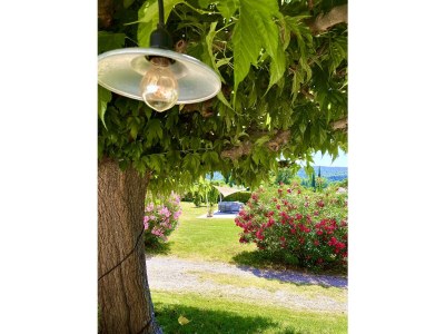 Villa Mas du Murier - Environment photo 24