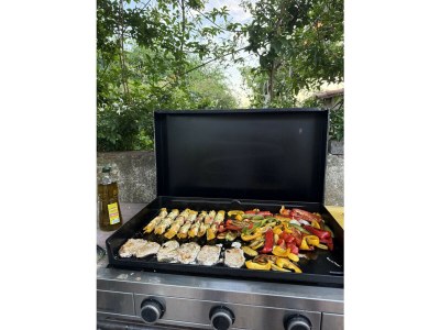 Villa Mas Ronquet - Outdoor photo 21