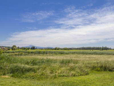 Villa Soleil de Provence - Environment photo 49