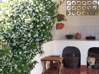 Villa Villa Abitureiras (6p) with pool in Santarém - Outdoor photo 3