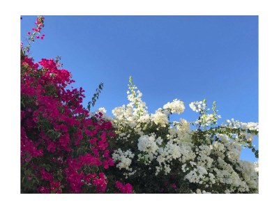 Villa Villa Abitureiras (6p) with pool in Santarém - Outdoor photo 29