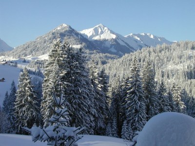 Holiday apartment Alexander SÃ¼ÃŸ - Environment photo 28