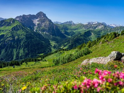 Holiday apartment Alexander SÃ¼ÃŸ - Environment photo 36