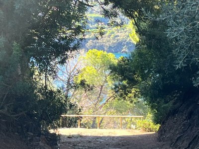 Holiday apartment Mickey House - Environment photo 26