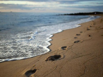 Apartment Ferienwohnungen im Seepark Sellin - Environment photo 19