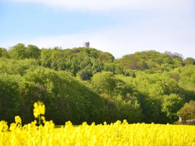 Apartment Ferienwohnungen im Seepark Sellin - Environment photo 20