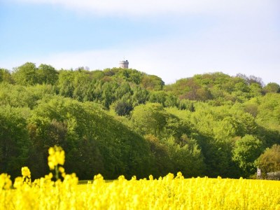 Apartment Ferienwohnungen im Seepark Sellin - Environment photo 23
