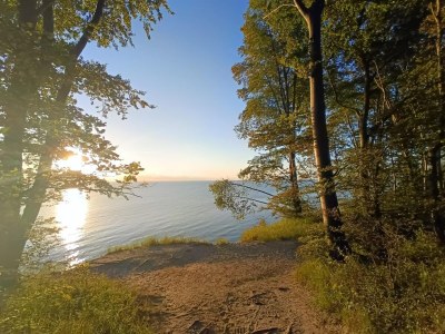 Apartment Ferienwohnungen im Seepark Sellin - Environment photo 24