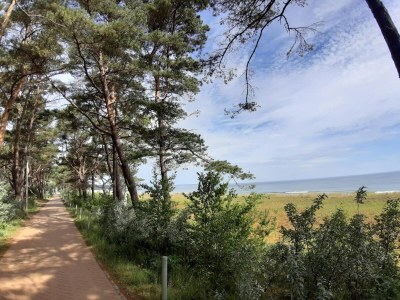 Apartment Ferienwohnungen im Seepark Sellin - Environment photo 29