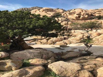 Apartment Wohnung in Sardinien mit Meerblick - Environment photo 33