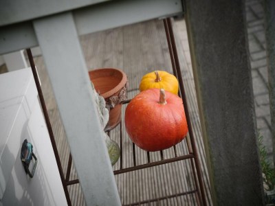 Holiday park Zeeland Retreat; Sauna and Seaside Charm - Outdoor photo 40