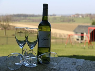 Holiday house Apartment in Ubachsberg near Trails - Outdoor photo 6