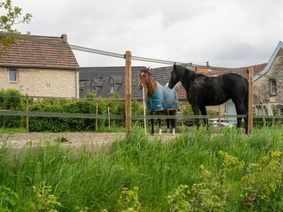 Holiday house Apartment in Ubachsberg near Trails - Environment photo 29