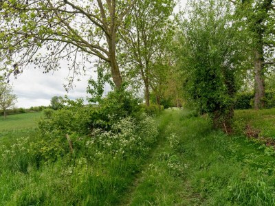 Holiday house Apartment in Ubachsberg near Trails - Environment photo 35