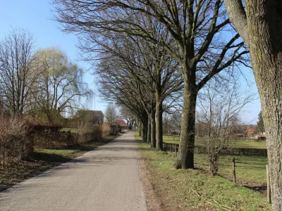 Holiday house Holiday Home in Ubachsberg with Terrace - Environment photo 31