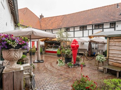 Holiday house Pet-Friendly Country Escape - Outdoor photo 6