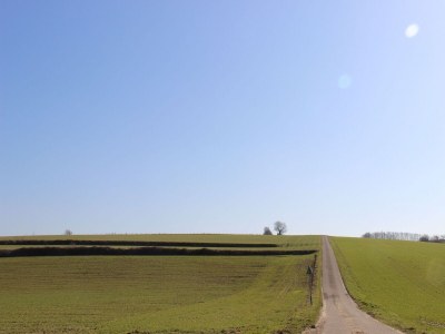 Holiday house Pet-Friendly Country Escape - Environment photo 28